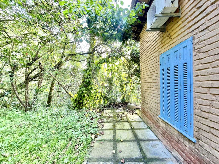 Foto REO1081696