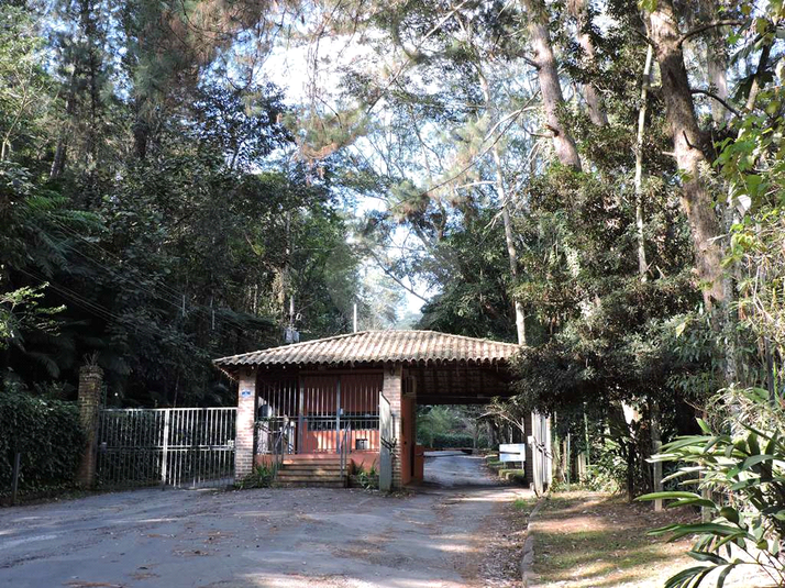 Foto REO1081696