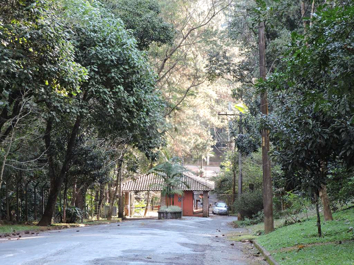 Foto REO1081696