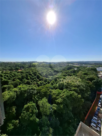 Foto REO1081700