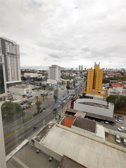 Foto REO1081705