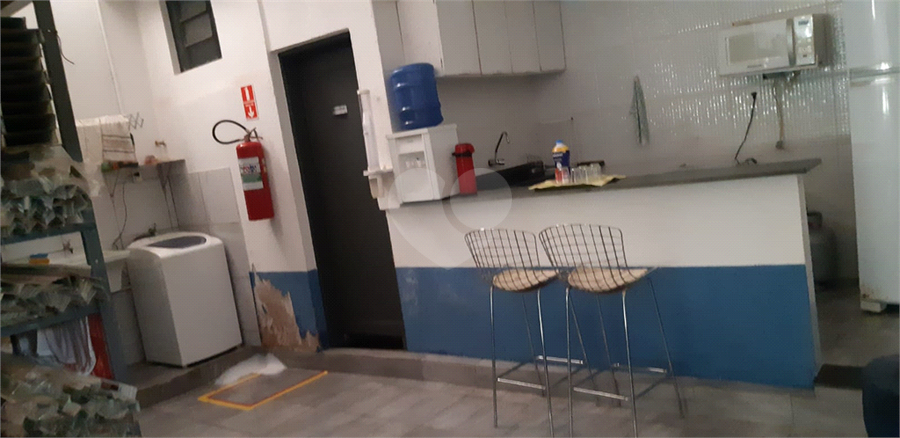 Foto REO1081716