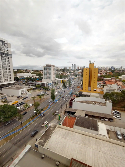 Foto REO1081719