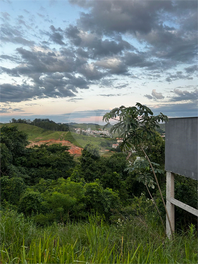 Foto REO1081731