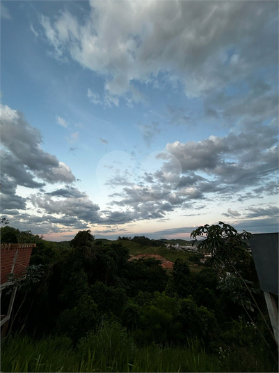 Foto REO1081731
