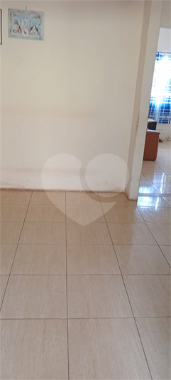 Foto REO1081732