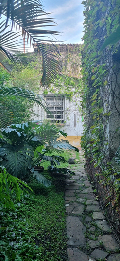 Foto REO1081748