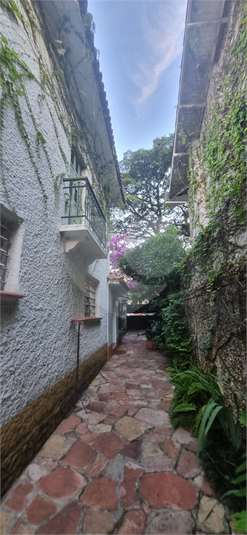 Foto REO1081748