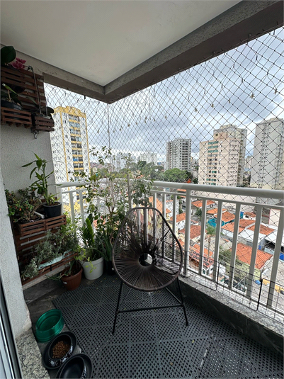 Foto REO1081750
