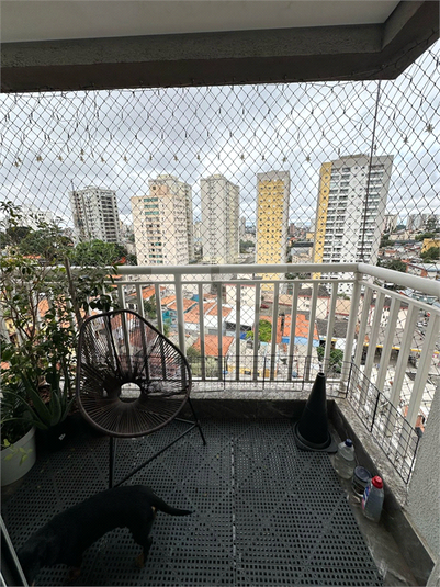 Foto REO1081750