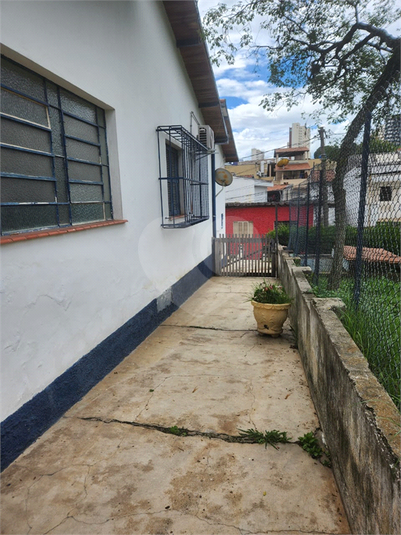 Foto REO1081753