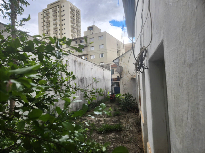 Foto REO1081756