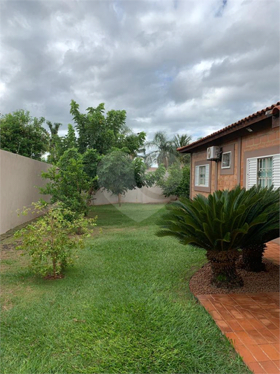 Foto REO1081779