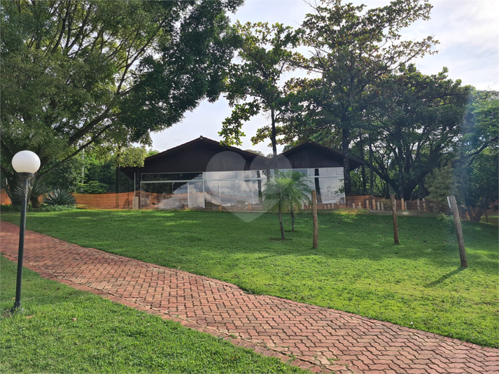 Foto REO1081793