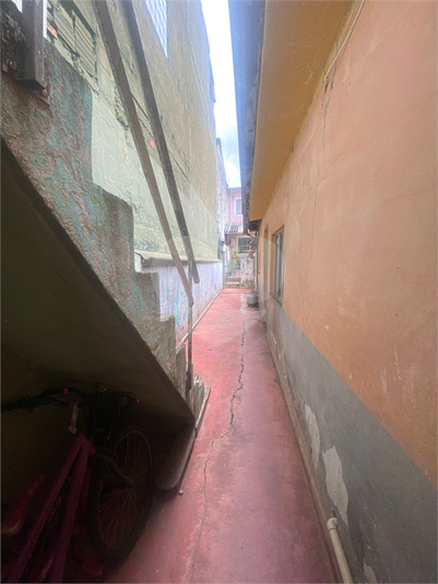 Foto REO1081797