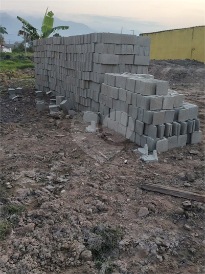 Foto REO1081799