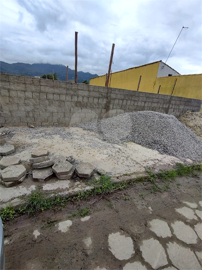 Foto REO1081799
