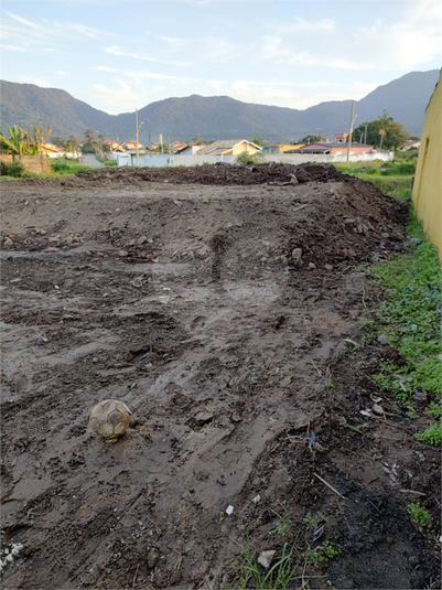 Foto REO1081799