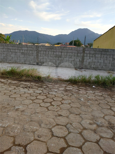 Foto REO1081799