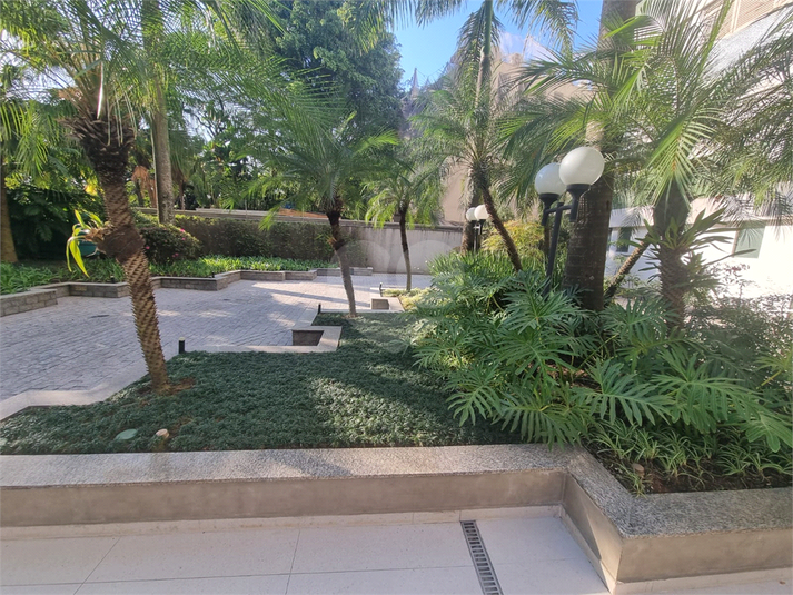 Foto REO1081802