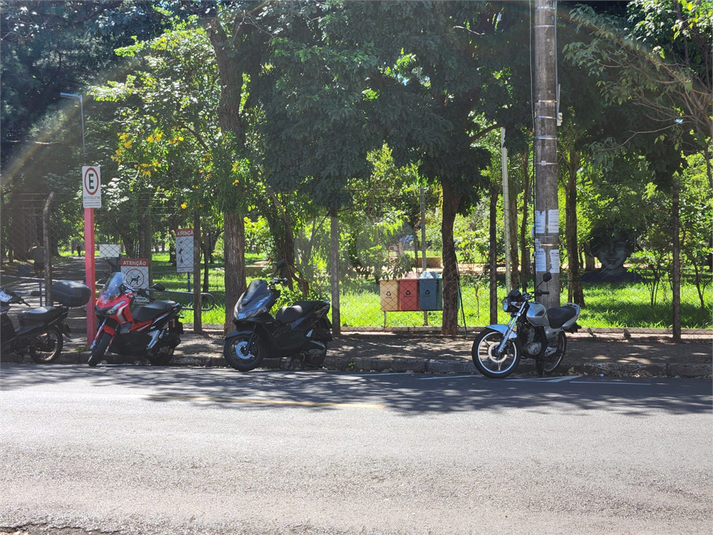 Foto REO1081806