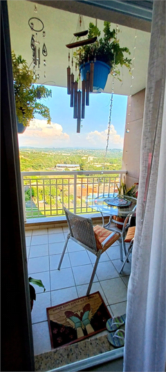 Foto REO1081822