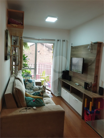 Foto REO1081847