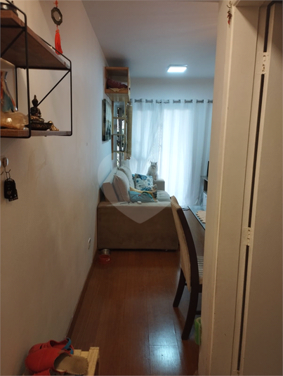 Foto REO1081847