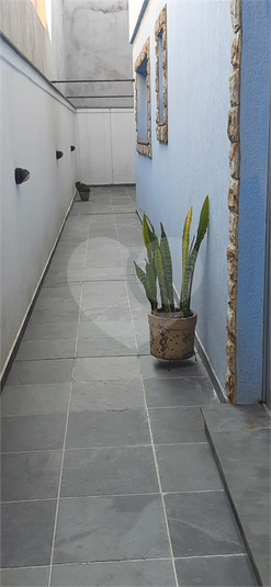 Foto REO1081857