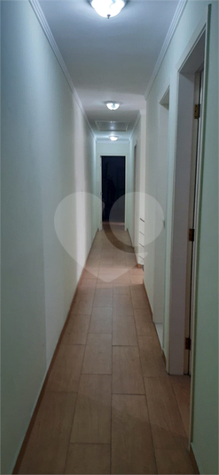 Foto REO1081857