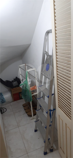 Foto REO1081857