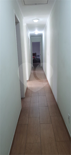 Foto REO1081857