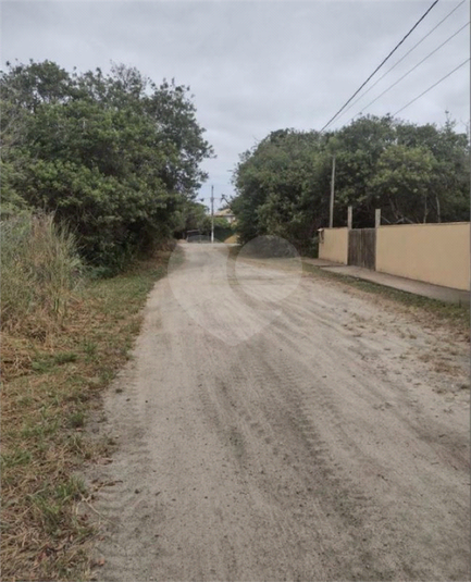 Foto REO1081869
