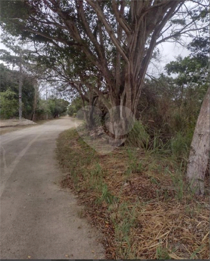 Foto REO1081869