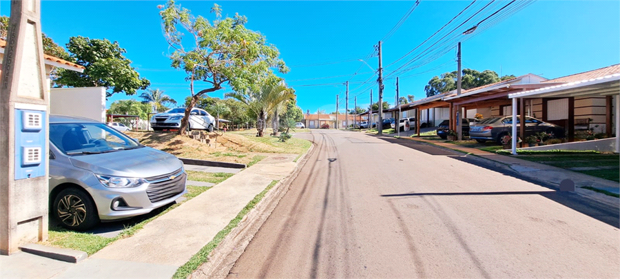 Foto REO1081875