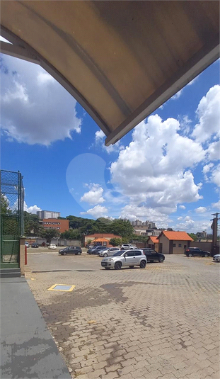 Foto REO1081887