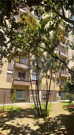 Foto REO1081887