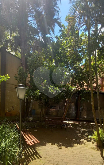 Foto REO1081887
