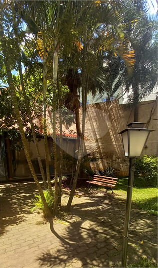 Foto REO1081887