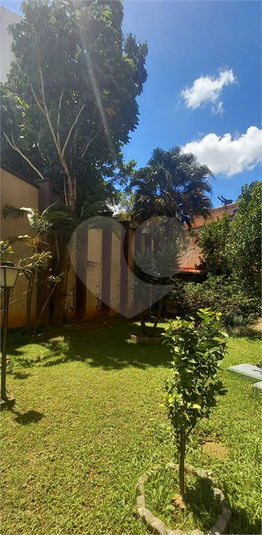 Foto REO1081887