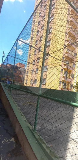 Foto REO1081887