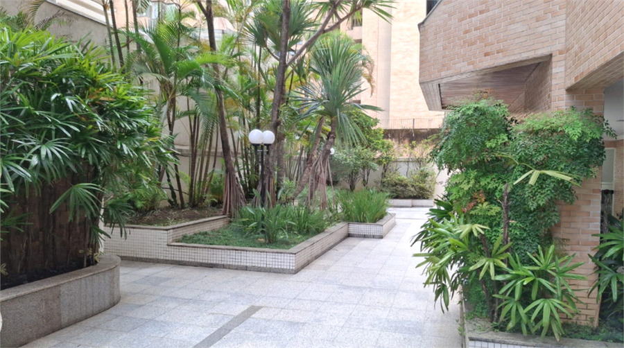 Foto REO1081894