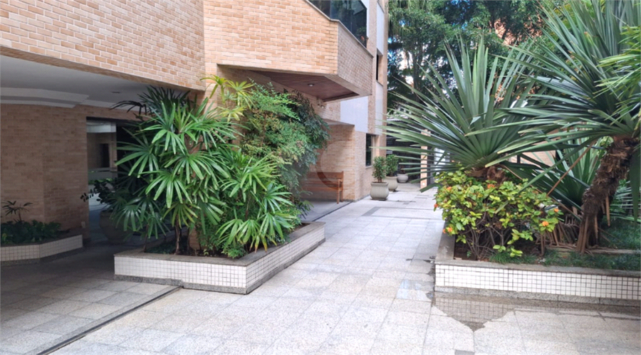 Foto REO1081894