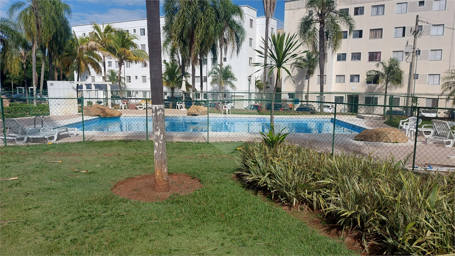 Foto REO1081913