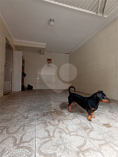 Foto REO1081925