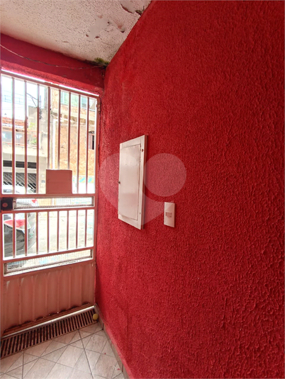 Foto REO1081925