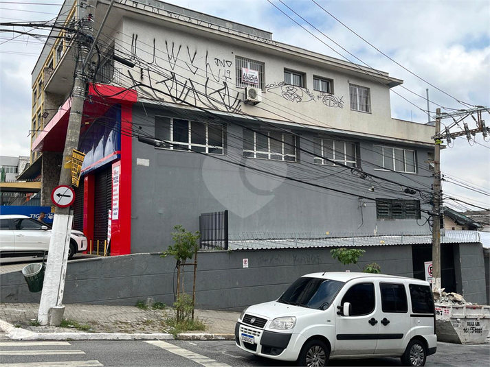 Foto REO1081926
