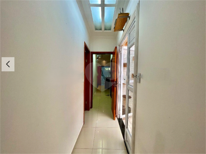 Foto REO1081938