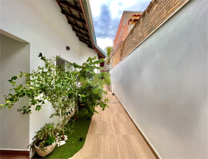 Foto REO1081938