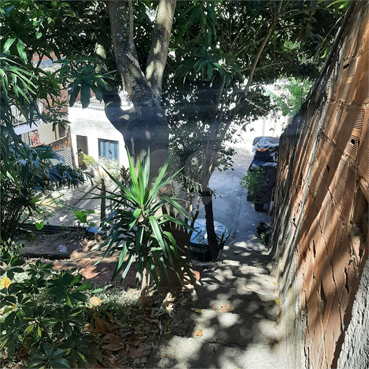 Foto REO1081946